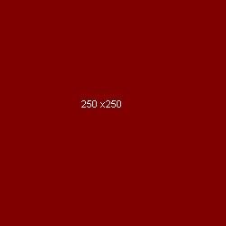 banner250x250